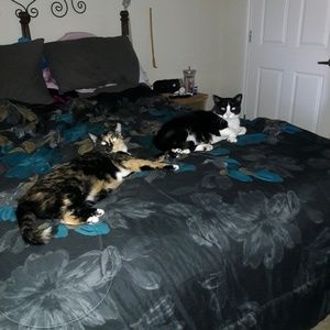 Meet your Posher, Michele